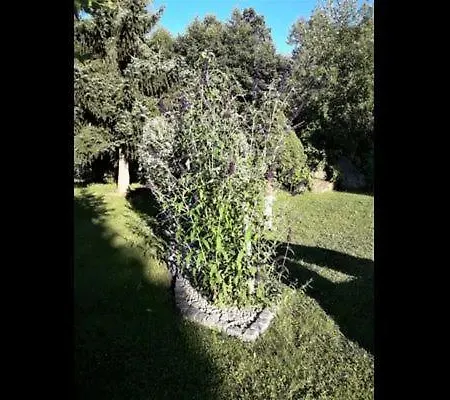 Дом отдыха Marco In Eppenschlag